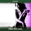 Meeting Adil (Spin on Mix, 24 Bit Remastered) - Phonex