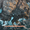 Levitating (Acoustic) - Cylink&Amy Thomas