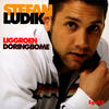 Miss You - Stefan Ludik