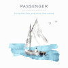 Bird in Flight - Passenger
