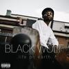 Life on Earth (Explicit) - Black Wolf