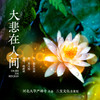 大悲在人间 - 姚斯婷