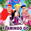 Flamingo Go - Unnormal