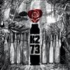 Ripreso bene (Explicit) - Karma22&Azot1&Zonta&Amir