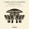 Sustainable Groove (Replicanth Remix) - Navarro&Caballero&Replicanth