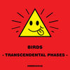 Transcendental Phases - birds