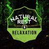 Forest Slumber - Rest&Relax Nature Sounds Artists