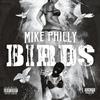 Birds (Explicit) - mike philly