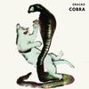 Cobra - Gracko