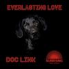 Everlasting Love (Original Mix) - Doc Link