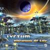 Cosmic Web (Original Mix) - Lyctum