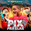 Pix Pra Elas (Explicit) - Mc Rayan Oficial