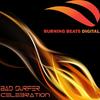 Celebration (Original Mix) - Bad Surfer
