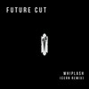 Whiplash (Cern Remix) - Future Cut&Cern