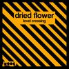 Level Crossing - Dried Flower