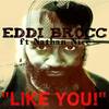 Like You!(feat. Nathan Nice) (Explicit) - Eddi Brocc&Nathan Nice