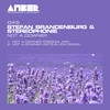 Not a Downer - Stefan Brandenburg&Stereophonie