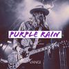 Purple Rain - Vangi
