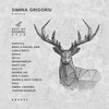 Frou Frou (Simina Grigoriu Remix) - DESNA