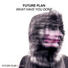 What Have You Done - Future Plan