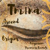Origins - Tmina