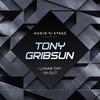 Lunar Day - Tony Gribsun