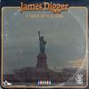 A Taste of New York - James Digger