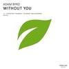 Without You (Aleksey Beloozerov Remix) - Adam Byrd