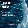 Beluga (Alyne Remix) - Santini