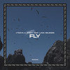 Fly (feat. Lana Selendis) (Extended Mix) - Vtecha&ATEMY&Lana Selendis