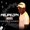 Mente Criminosa - MC Felipedin