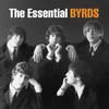 Turn! Turn! Turn! (To Everything There Is A Season) - The Byrds