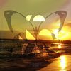 No Motion (Original Mix) - Feft