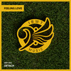 Feeling Love (Original Mix) - Dj Detach