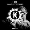 Luce - Simone Celi&PLEXXAGLASS