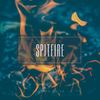 Spitfire - Furkan Dulda