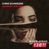 Damage Control (Extended Mix) - Chris Schweizer