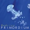 Primordium - Gedrizz