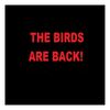 The Birds Are Back - Danny J&Jerry B