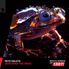 Sapo (Find The Frog) (Explicit) - Pete Delete