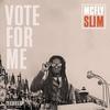 Vote For Me (Presidential Remix|Explicit) - McFly Slim