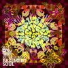 The Harder I Rock - Kid Sublime