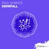 Snowfall (Original Mix) - Paul Di White