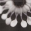 Seeregen - N