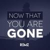 Now That You Are Gone - Remz