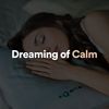 Wind Down - Quiet Meditation Music