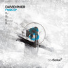 Frisk (Detlef Remix) - David Pher