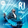 U Know It Ain't Love(CJ Stone & Nils van Zandt Edit) - RJ&Pitbull