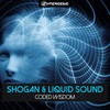 Digital Dreams - Shogan&Liquid Sound