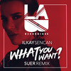 What You Want (Suer Remix) - Ilkay Sencan&SUER